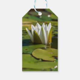 Vattenlilja Blommar Presentetikett