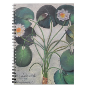 VattenLillies anteckningsbok