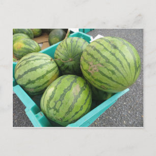 Vattenmelon Bunch. Vykort