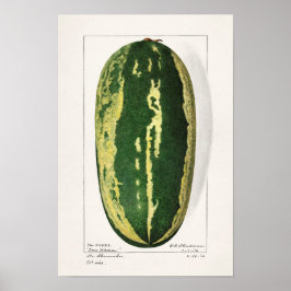 Vattenmelon (Citrullus Lanatus) - Färgning av fruk Poster