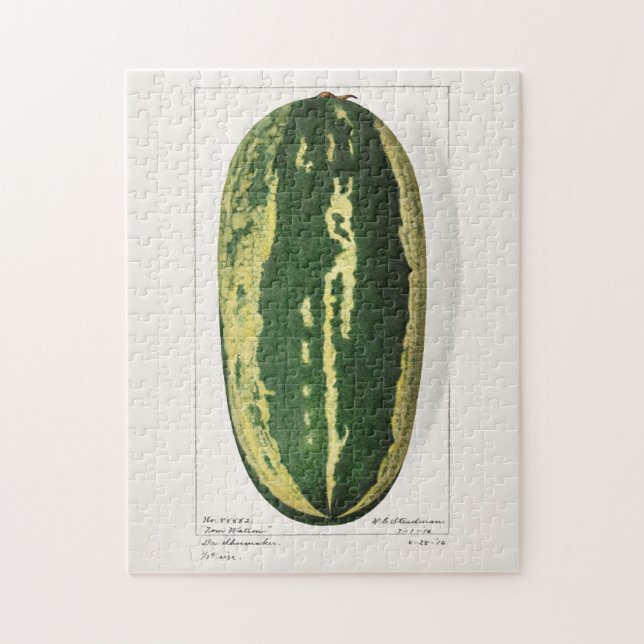 Vattenmelon (Citrullus Lanatus) - Färgning av fruk Pussel (Vertikal)