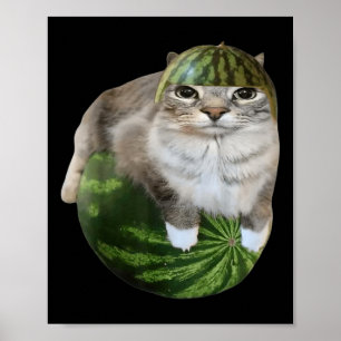 Vattenmelon Katt Roligt Memo Poster