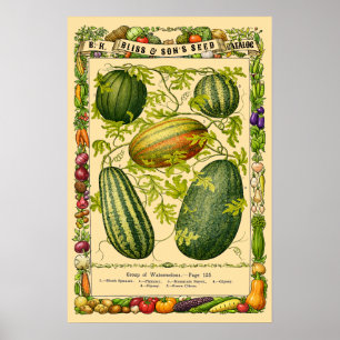 Vattenmelon Retro Viktoriansk Era Botanisk Konst Poster