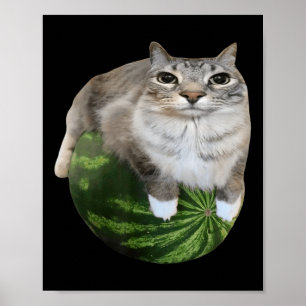 Vattenmelonkattens Fånig Kattkött Poster