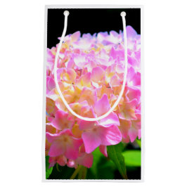 Vattenområden för lila av rosa orange