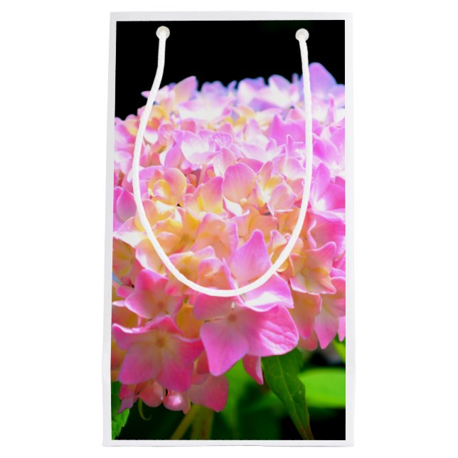 Vattenområden för lila av rosa orange (Framsidan)