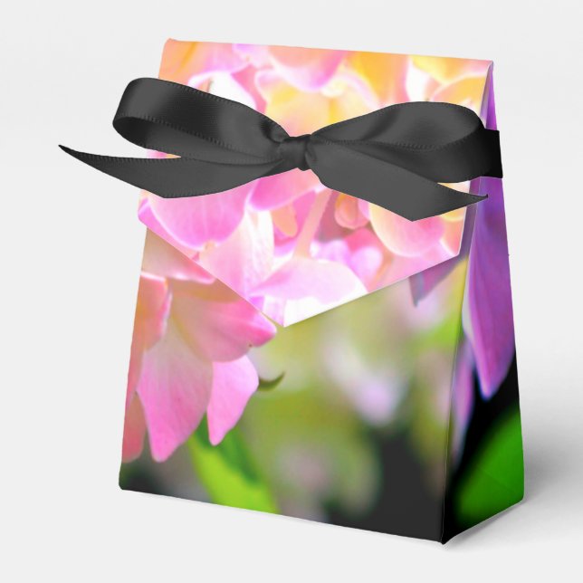 Vattenområden för lila av rosa orange presentaskar (Framsidan Sidan)