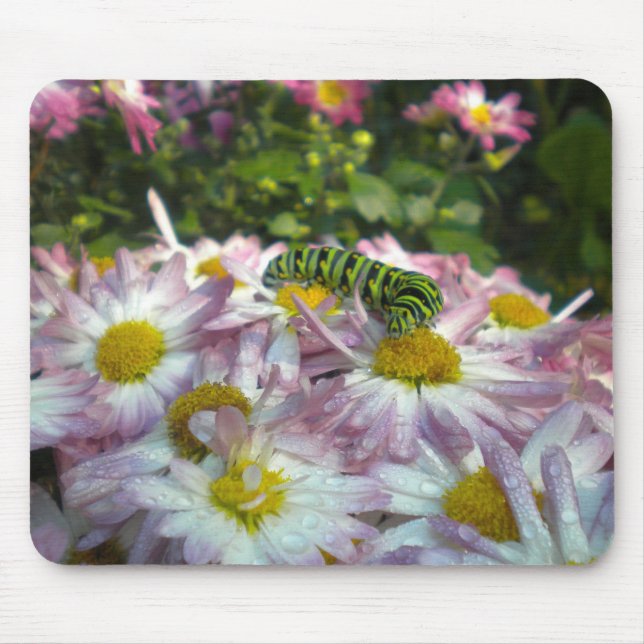 Vattenpelare och Asters Mousepad Musmatta (Framsidan)