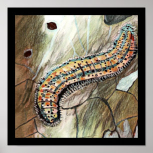 Vattenpelare 🐛 Östran Vita fjäril 🦋 Poster