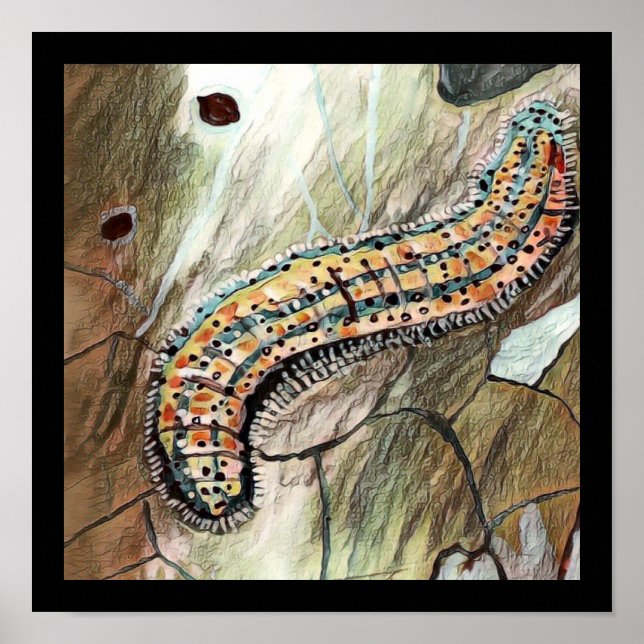 Vattenpelare 🐛 Östran Vita fjäril 🦋 Poster (Framsidan)