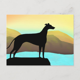 Vattensidan Greyhound Hund Liggande Vykort