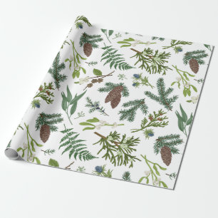 Vattenskärg Julnatur och skogsbelysning Presentpapper