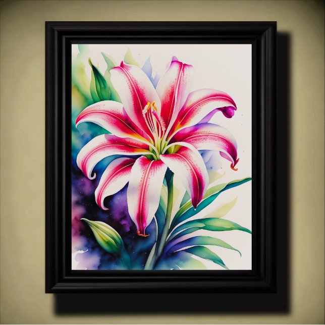 Vattenskärg Rosa och vit Stargazer Lily Poster (Skapare uppladdad)