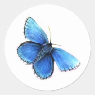 Vattenskärk med blå logotyp av fjärilsegen runt klistermärke