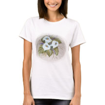 Vattenskärtbukett av vita kallas