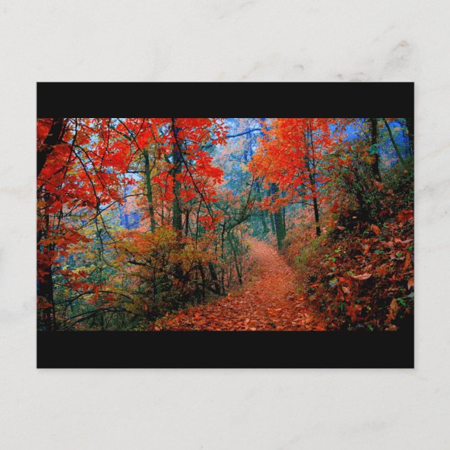 Vattenskärtgåvor för målade skoghösten vykort (Framsida)