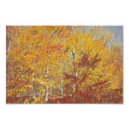 Vattenskärtskensfolie Fototryck