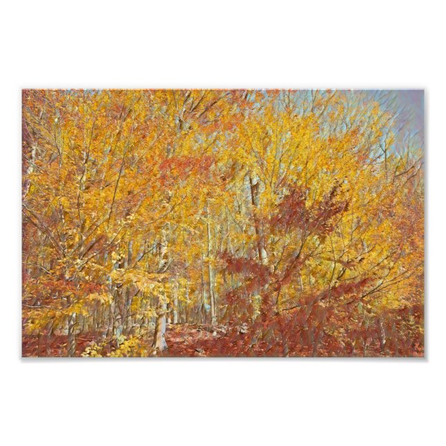 Vattenskärtskensfolie Fototryck (Framsidan)