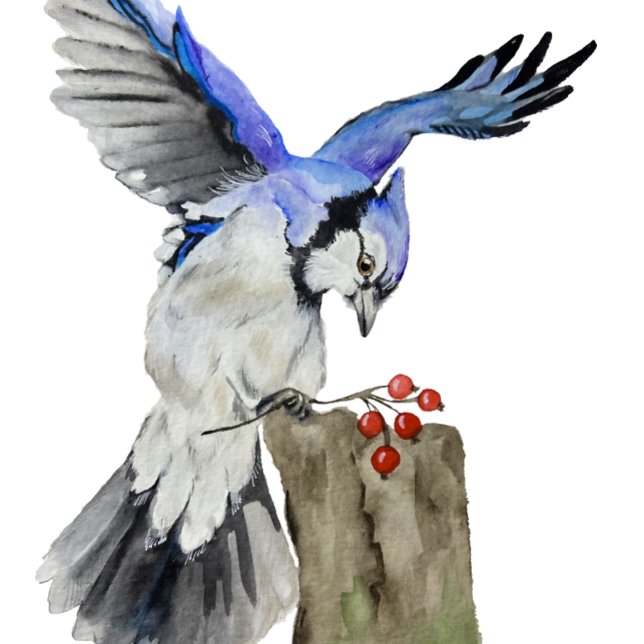 Vattenskärtskog, blåhaj bagagebricka (Skapare uppladdad)