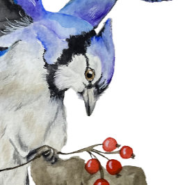 Vattenskärtskog, blåhaj underlägg papper kvadrat