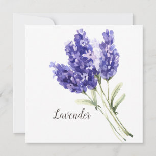 Vattenskort för tom vattenfärg för lavender-blommo