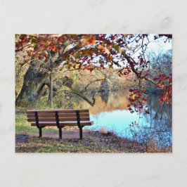 Vattenstånd med Bench Photo Vykort