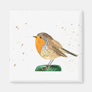Vattentärfärgad robin, fågeljullvintern magnet