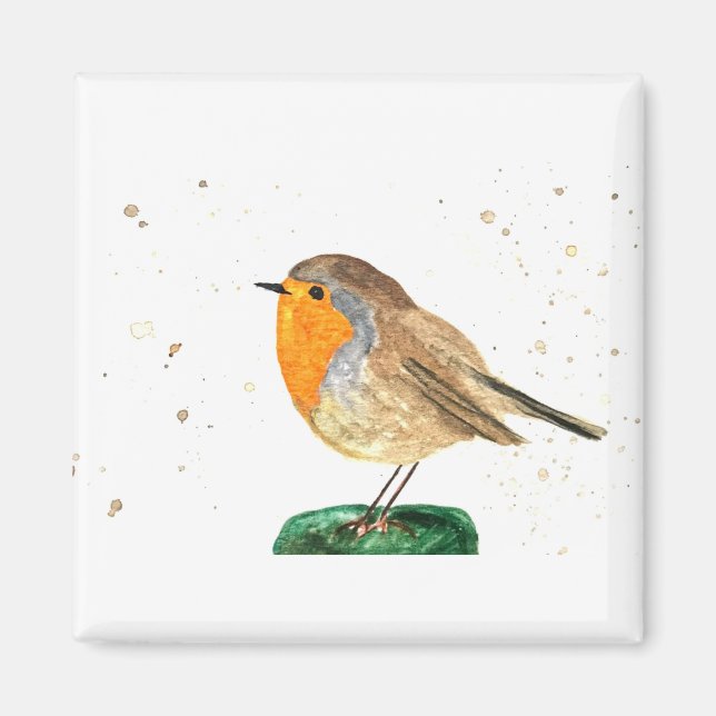 Vattentärfärgad robin, fågeljullvintern magnet (Framsidan)