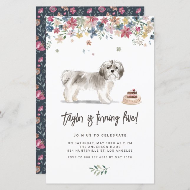 Vattentärsfärgad Grått Shih Tzu Hund Birthday-inbj (Fram/baksida)