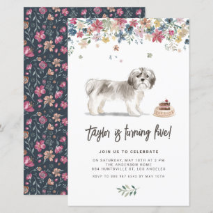 Vattentärsfärgad Grått Shih Tzu Hund Birthday-inbj