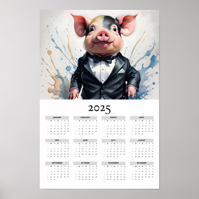 Vattentärsfärgad Gris med Tuxedo 2025-väggkalender Poster (Framsidan)
