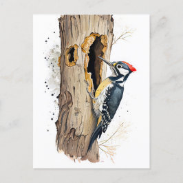 Vattentfärg Eurasian Treecreeper Sökning efter Ins Vykort