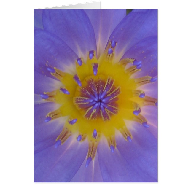 Vattenvänlig lycka hälsningskort (Framsidan)