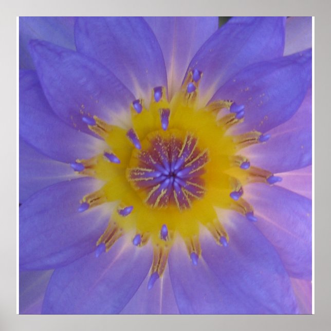 Vattenvänlig lycka poster (Framsidan)