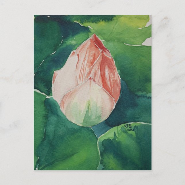 Vattfärg Lotus vycard Vykort (Framsida)