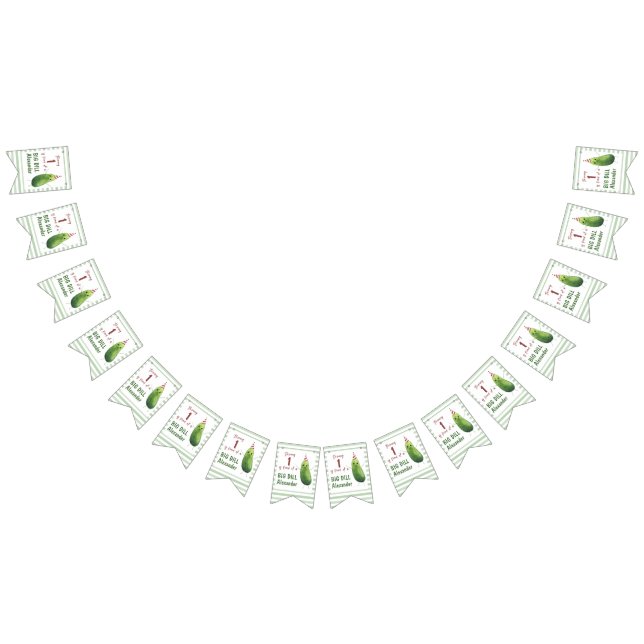 Vattfärgsgurka, stor Födelsedagsfest Vimplar (Alla)