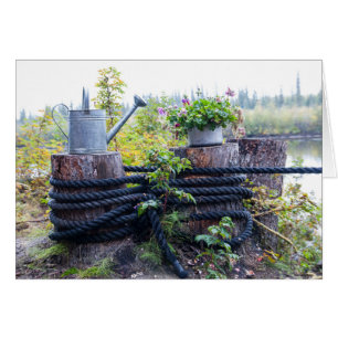 Vattningskanna och kruka med blommor fotografi hälsningskort