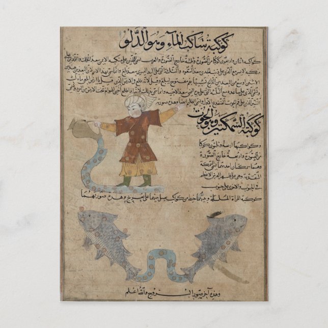 Vattumannen och Fiskarna Vykort (Framsida)