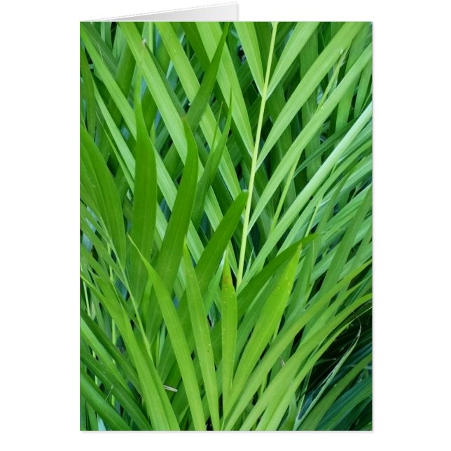 Vävnad i Grönt Hälsningskort (Framsidan)