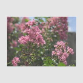 Vävnadspapper för Crepe Myrtle blommar paper