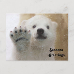 Vävning av Polarna Bear Unge Helg Vykort