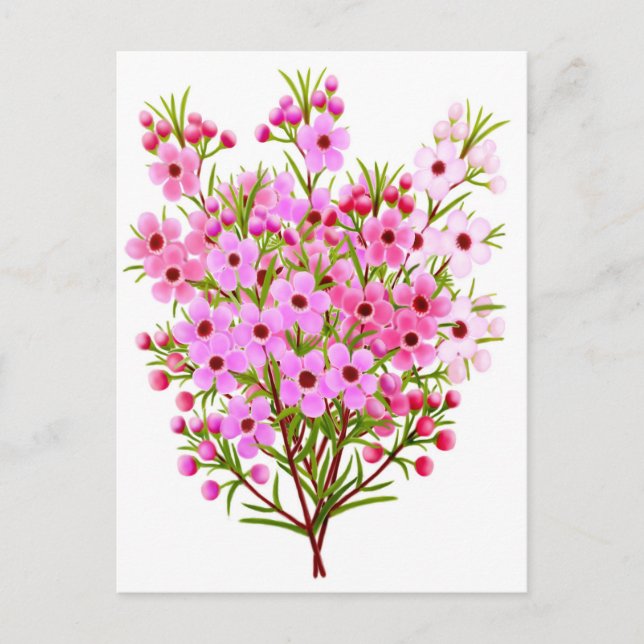 Vax Flower Bouquet-vykort Vykort (Framsida)