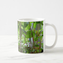 Växande frö för växtbehålla kaffemugg