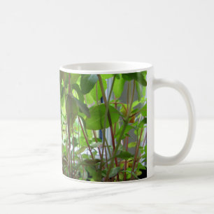 Växande frö för växtbehålla kaffemugg