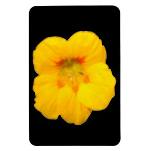 Växande Gult Nasturtium Premium Magnet