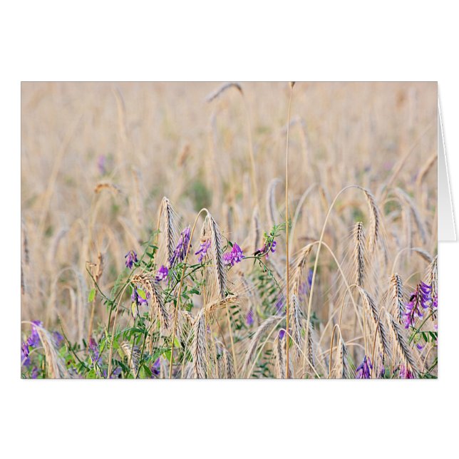 Växande korts hälsningskort (Framsidan Horizontal)