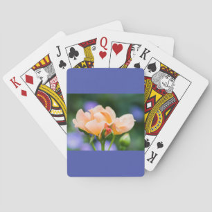 växande önskan casinokort
