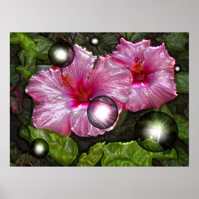 Växande Poster (Framsidan)