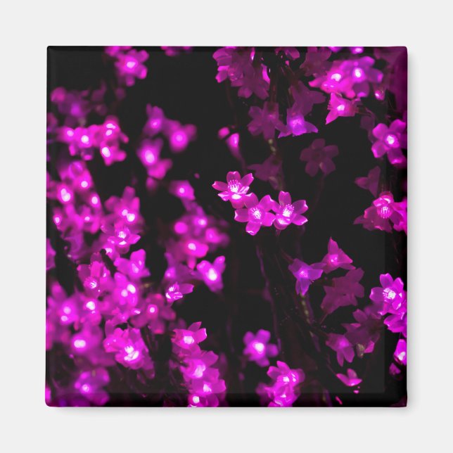 Växande Rosa Flower Ljus Magnet (Framsidan)