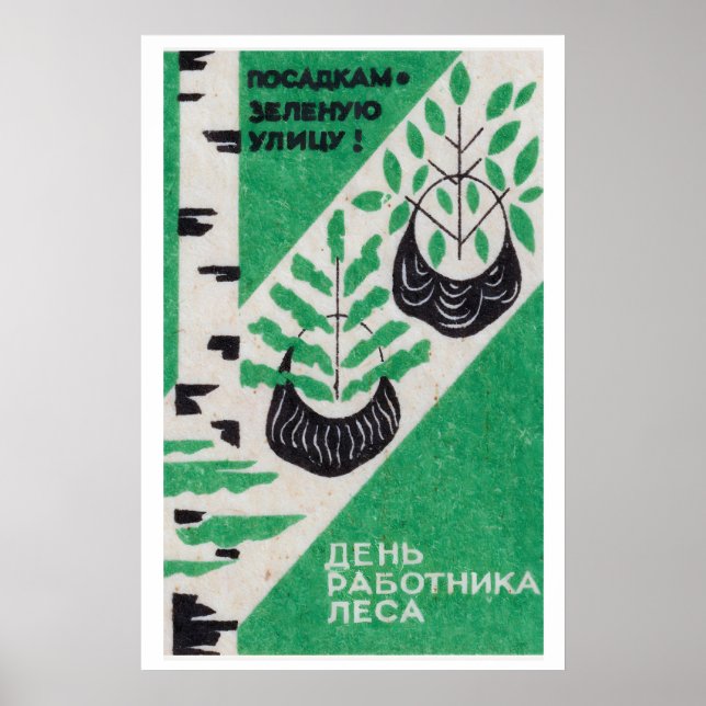 Växande träd - - Tändsticksasktryck - Estetisk väg Poster (Framsidan)